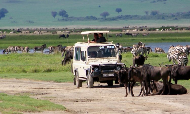 3 Days Serengeti Ngorongoro Crater Safari