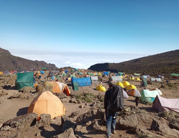 Climb Mount Kilimanjaro Lemosho Route From Moshi(7 Days,6 Nights)