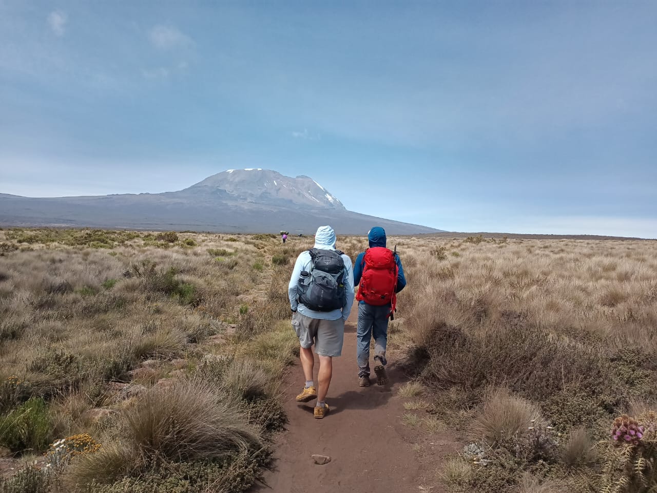MT. Kilimanjaro - 5 Days Marangu Route(5 Days,4 Nights)