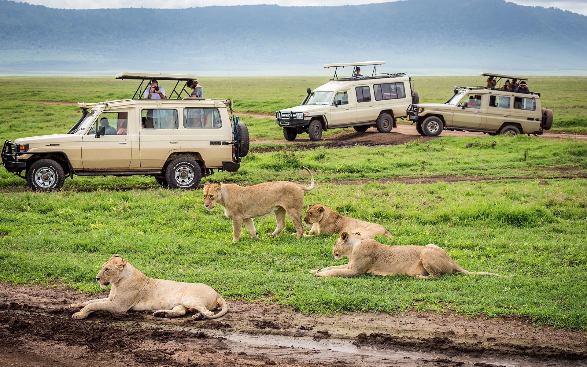 Kenya and Tanzania Luxury Safari | 9 Days Masai Mara – Lake Manyara – Ngorongoro – Serengeti